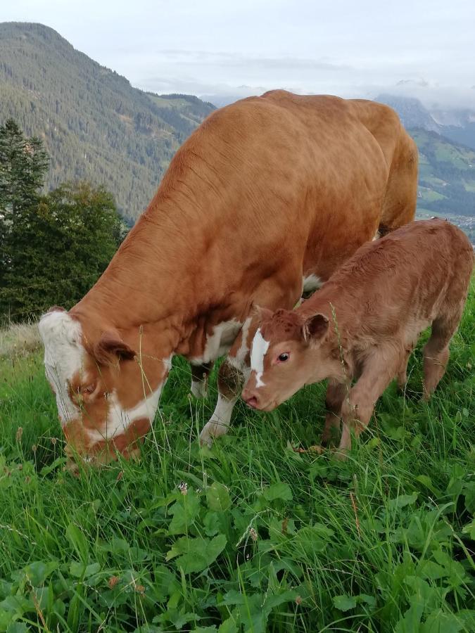 Hahnenkammblick Villa Kitzbuhel Ngoại thất bức ảnh