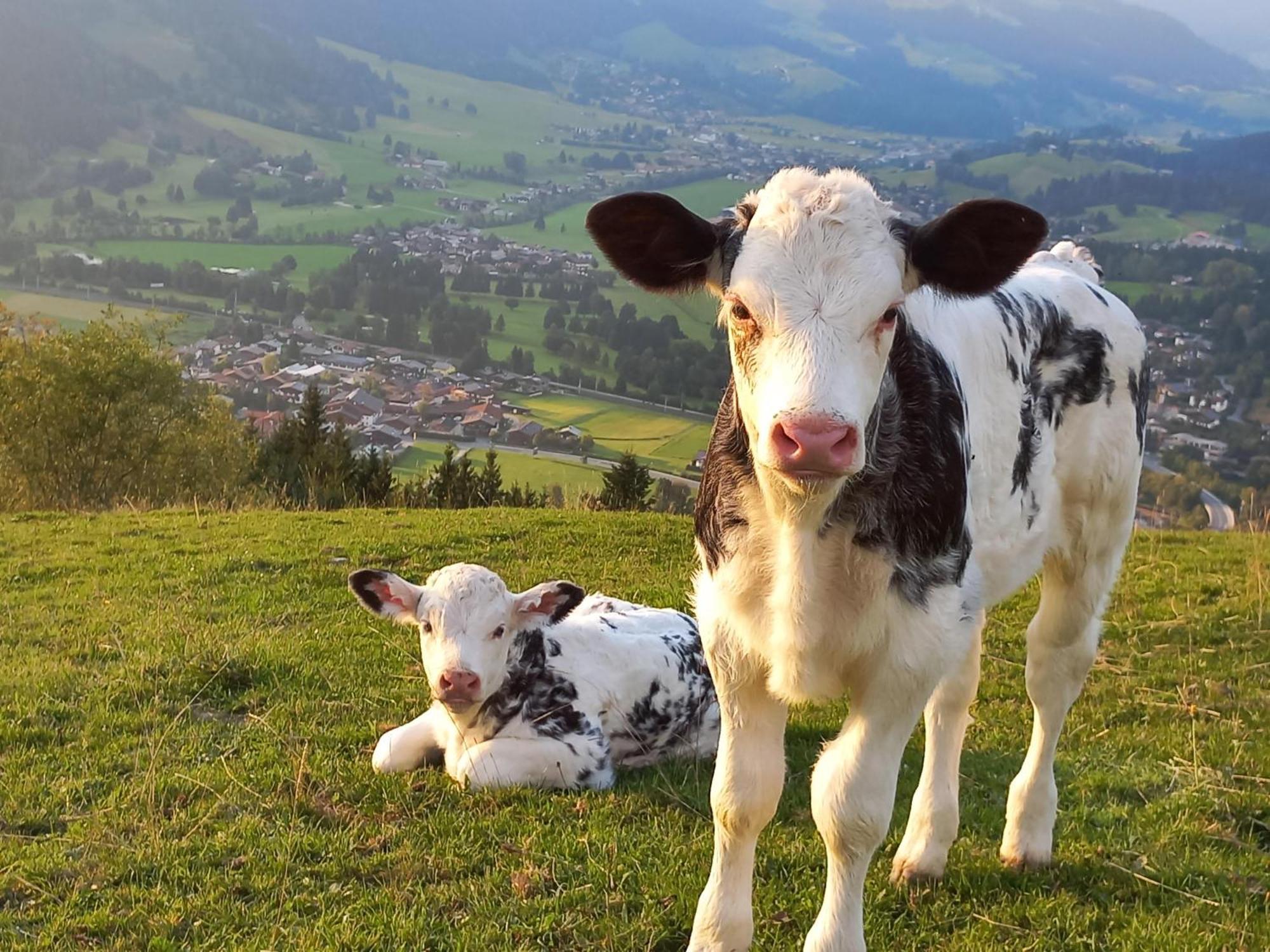 Hahnenkammblick Villa Kitzbuhel Ngoại thất bức ảnh