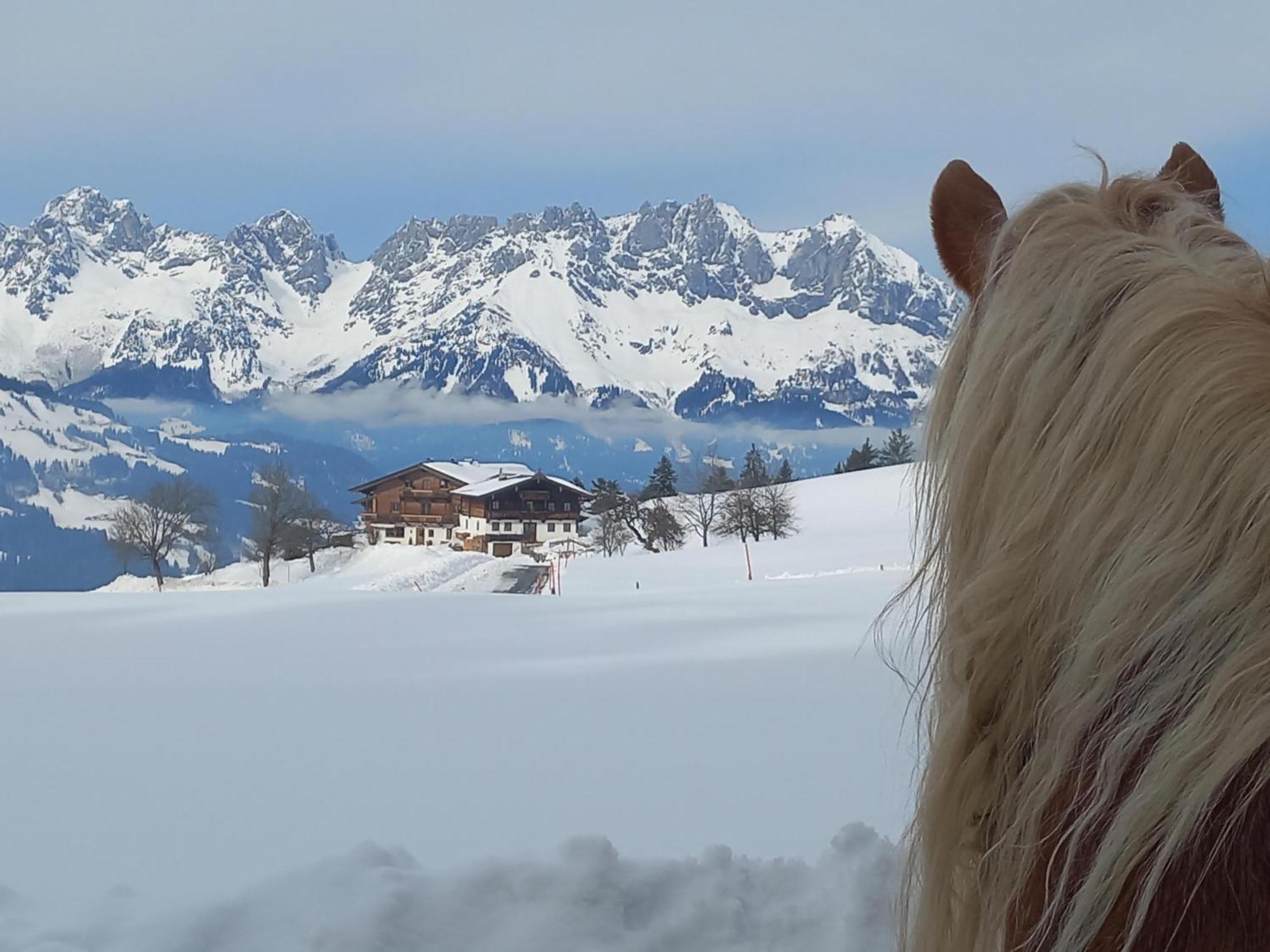 Hahnenkammblick Villa Kitzbuhel Ngoại thất bức ảnh