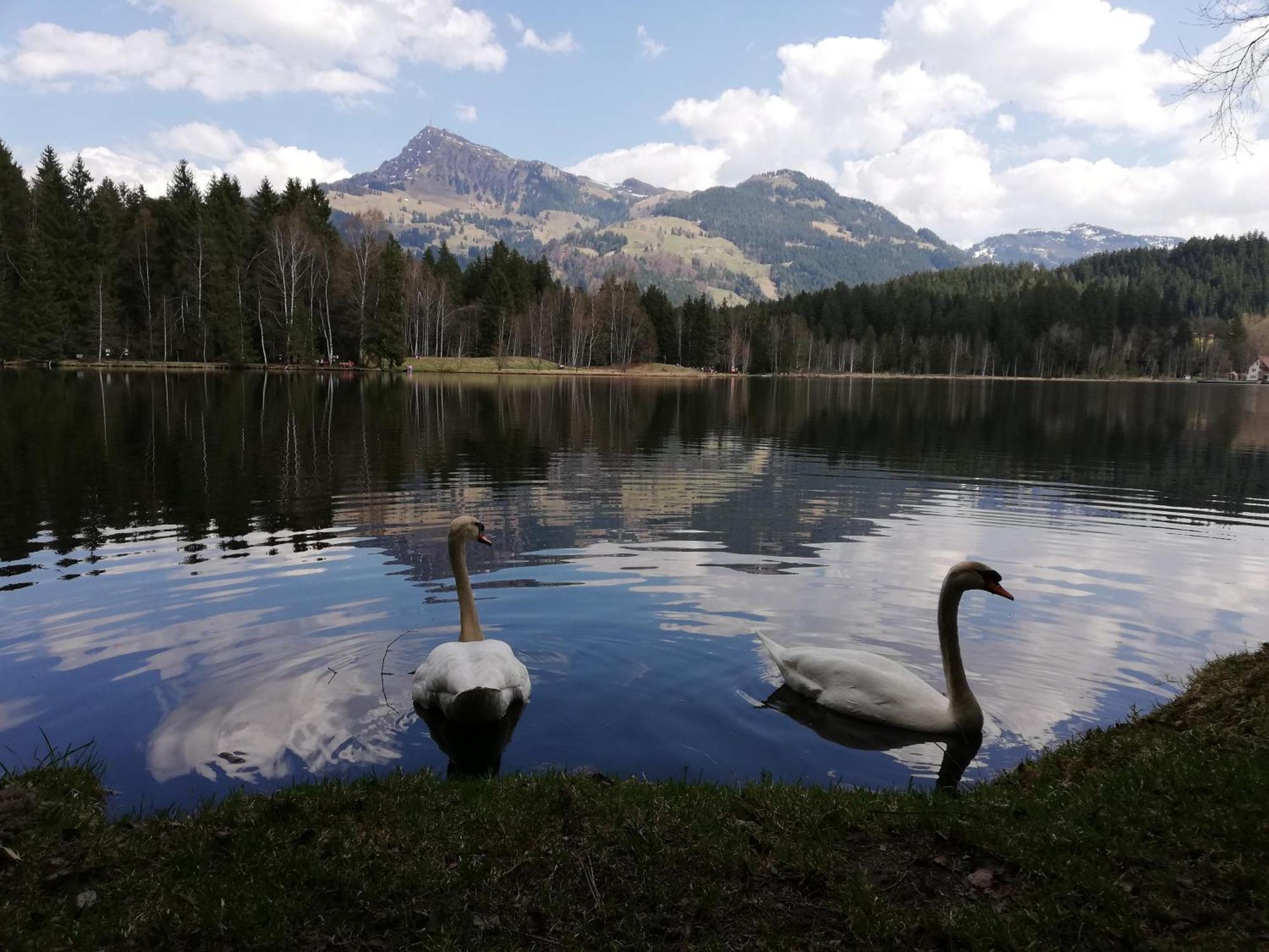 Hahnenkammblick Villa Kitzbuhel Ngoại thất bức ảnh