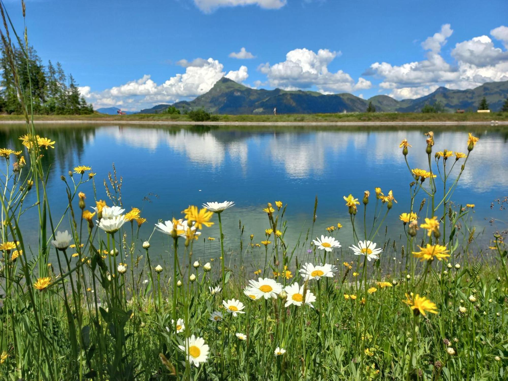 Hahnenkammblick Villa Kitzbuhel Ngoại thất bức ảnh