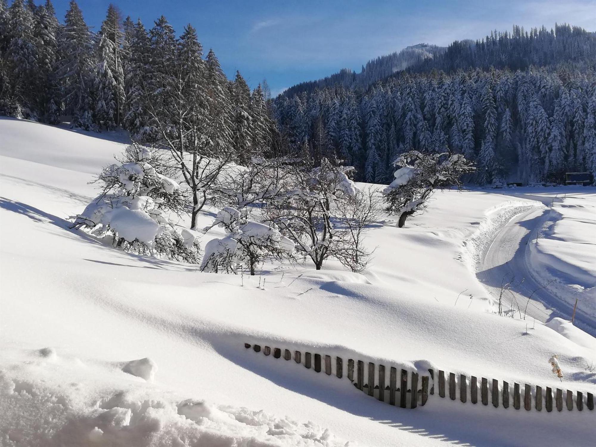 Hahnenkammblick Villa Kitzbuhel Ngoại thất bức ảnh